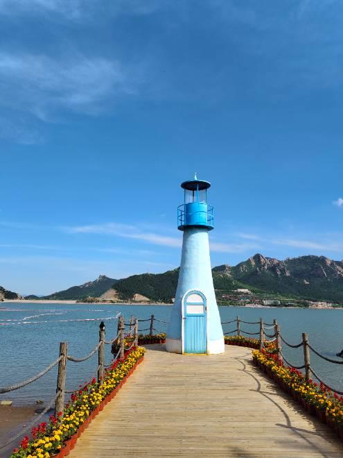 沈阳家教网-王老师