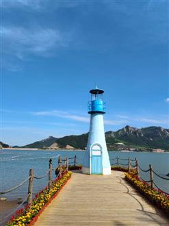 王老师